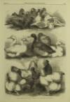 Illustrated London News Saturday 10 December 1864 Page 21