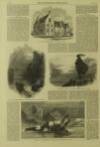 Illustrated London News Saturday 11 February 1865 Page 4