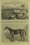 Illustrated London News Saturday 13 May 1865 Page 5