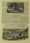 Illustrated London News Saturday 24 June 1865 Page 12