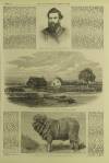 Illustrated London News Saturday 29 July 1865 Page 5