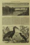 Illustrated London News Saturday 28 October 1865 Page 4