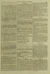 Illustrated London News Saturday 04 November 1865 Page 10