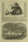 Illustrated London News Saturday 02 February 1867 Page 5