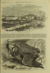 Illustrated London News Saturday 02 January 1869 Page 17