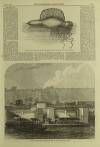 Illustrated London News Saturday 27 March 1869 Page 20