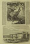 Illustrated London News Saturday 24 April 1869 Page 4
