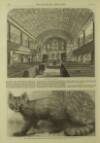 Illustrated London News Saturday 12 June 1869 Page 4