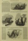 Illustrated London News Saturday 18 September 1869 Page 12