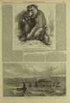 Illustrated London News Saturday 18 September 1869 Page 17