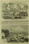 Illustrated London News Saturday 16 October 1869 Page 20