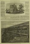 Illustrated London News Saturday 27 November 1869 Page 12