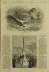 Illustrated London News Saturday 04 February 1871 Page 16
