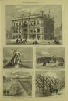 Illustrated London News Saturday 04 October 1873 Page 13