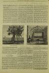 Illustrated London News Saturday 29 November 1873 Page 28