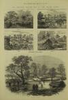 Illustrated London News Saturday 28 February 1874 Page 4
