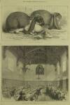 Illustrated London News Saturday 03 July 1875 Page 13