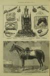 Illustrated London News Saturday 30 October 1875 Page 4