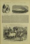 Illustrated London News Saturday 04 January 1879 Page 14