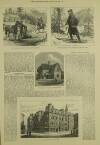 Illustrated London News Saturday 30 October 1880 Page 14
