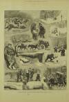 Illustrated London News Saturday 29 January 1881 Page 4