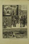 Illustrated London News Saturday 05 February 1881 Page 24