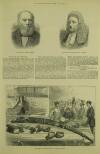 Illustrated London News Saturday 28 January 1882 Page 13