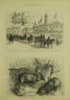 Illustrated London News Saturday 03 June 1882 Page 10