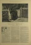 Illustrated London News Saturday 23 February 1884 Page 17