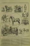 Illustrated London News Saturday 06 March 1886 Page 14