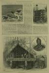 Illustrated London News Saturday 02 October 1886 Page 22
