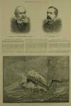 Illustrated London News Saturday 10 September 1887 Page 12
