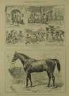 Illustrated London News Saturday 05 February 1887 Page 12