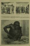 Illustrated London News Saturday 12 November 1887 Page 23