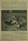 Illustrated London News Saturday 16 March 1889 Page 20
