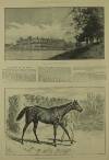 Illustrated London News Saturday 15 June 1889 Page 5