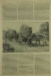 Illustrated London News Saturday 31 August 1889 Page 11