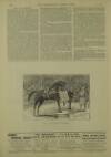 Illustrated London News Saturday 25 January 1890 Page 23