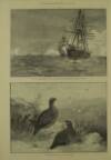 Illustrated London News Saturday 09 August 1890 Page 4