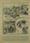 Illustrated London News Saturday 27 September 1890 Page 12