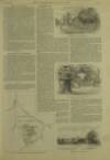 Illustrated London News Saturday 15 November 1890 Page 7