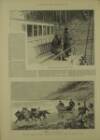 Illustrated London News Saturday 14 February 1891 Page 19