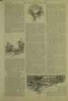 Illustrated London News Saturday 14 March 1891 Page 17