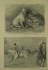 Illustrated London News Saturday 28 March 1891 Page 8