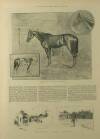 Illustrated London News Saturday 28 May 1892 Page 12