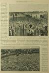 Illustrated London News Saturday 25 March 1893 Page 19