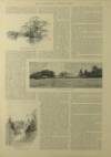 Illustrated London News Saturday 12 January 1895 Page 17