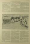 Illustrated London News Saturday 26 September 1896 Page 12