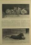 Illustrated London News Saturday 18 September 1897 Page 15