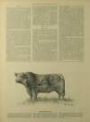 Illustrated London News Saturday 26 March 1898 Page 25